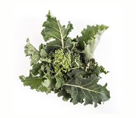 Azienda Agricola Rusciano